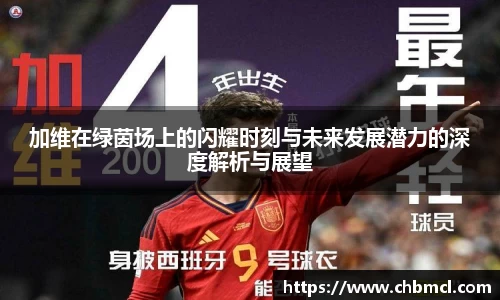 3377体育官网首页